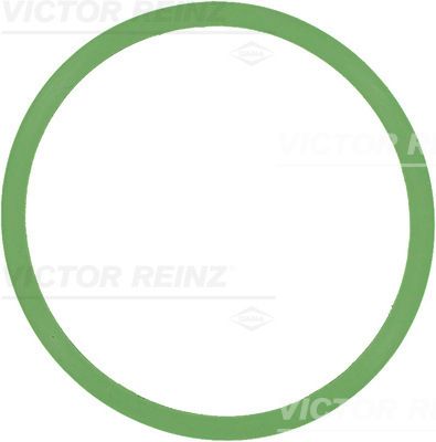 Прокладка впускного коллектора VICTOR REINZ 713759900