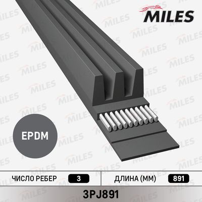 Ремень поликлиновой Miles 3PJ891