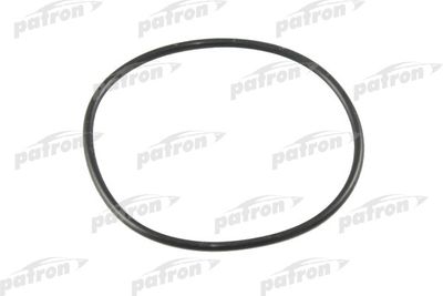 Кольцо уплотнительное PMC P1EC002