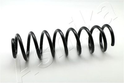 Пружина передняя STANDARD SPRINGS ST120045F