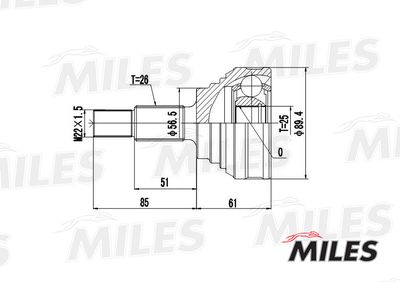 ШРУС наружный Miles GA20005