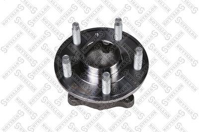 Ступица задняя DELCOPARTS 19347646
