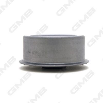 Ролик натяжителя ремня GMB GT80110