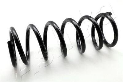 Пружина задняя STANDARD SPRINGS ST123060R