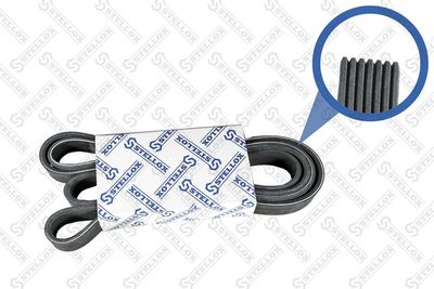 Ремень поликлиновой STELLOX 0702120SX