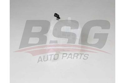 Бачок расширительный BSG BSG65550016