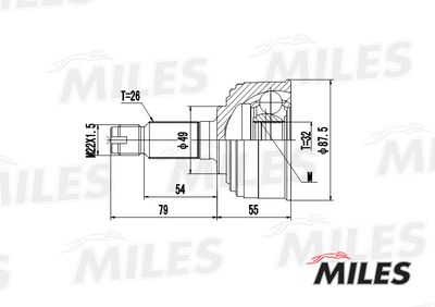 ШРУС наружный Miles GA20129
