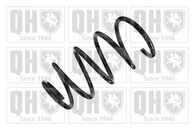 Пружина задняя FOBOS 6487