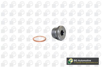 Пробка резьбовая BMW 07119905428