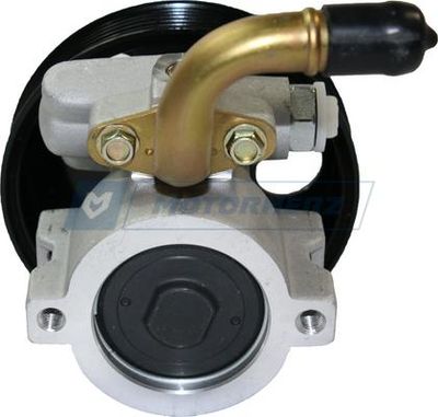 Насос ГУР MotorHerz P1009HG