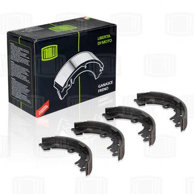 Колодки тормозные барабанные TRIALLI GF1905