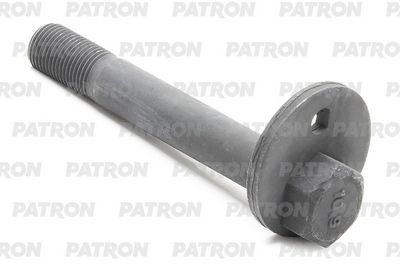 Болт-эксцентрик PATRON PBLT061