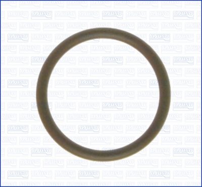 Кольцо уплотнительное NISSAN 1506631U02
