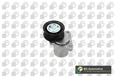 Натяжитель ремня BGA DC2313