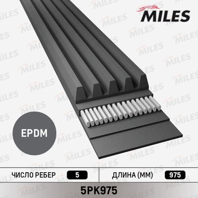 Ремень поликлиновой Miles 5PK975