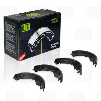 Колодки тормозные барабанные TRIALLI GF1910