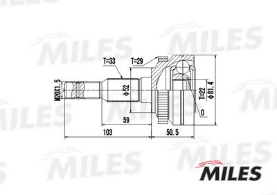 ШРУС наружный Miles GA20365