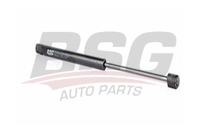 Амортизатор задней откидной двери BSG BSG16980002