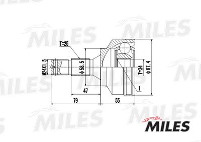 ШРУС наружный Miles GA20062