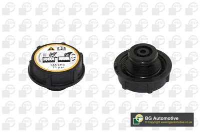 Крышка бачка расширительного FORD 1301104