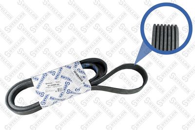 Ремень поликлиновой STELLOX 0702060SX