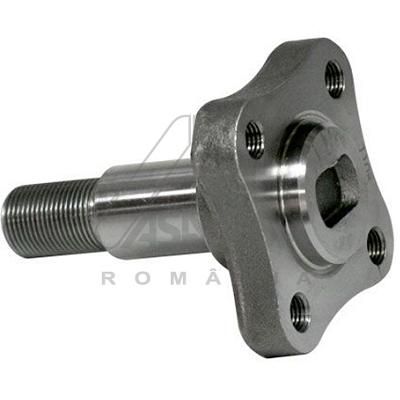 Цапфа ступицы ASAM 30247