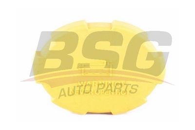 Крышка бачка расширительного BSG BSG65551004