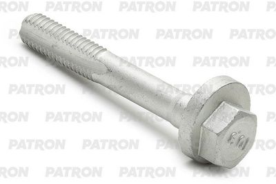 Болт-эксцентрик PATRON PBLT041