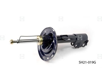 Амортизатор передний левый HOLA SH21019G