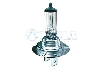 Лампа TESLA B10701