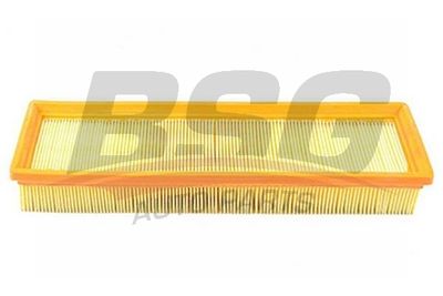 Фильтр воздушный BSG BSG70135004