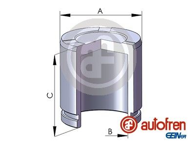 Поршень тормозного суппорта SEINSA AUTOFREN D025287
