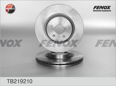 Диск тормозной FENOX TB219210