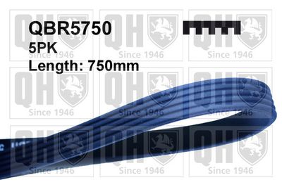 Ремень поликлиновой SUN 5PK750