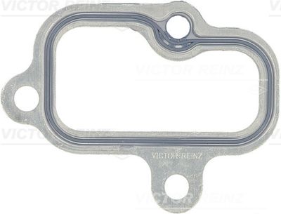 Прокладка впускного коллектора VICTOR REINZ 713613300