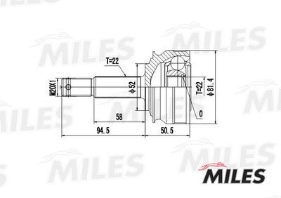 ШРУС наружный Miles GA20341