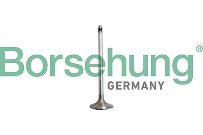 Клапан впускной Borsehung B10327