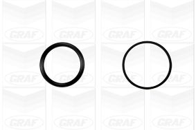 Насос водяной системы охлаждения GRAF PA1045