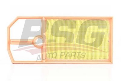 Фильтр воздушный BSG BSG90135008
