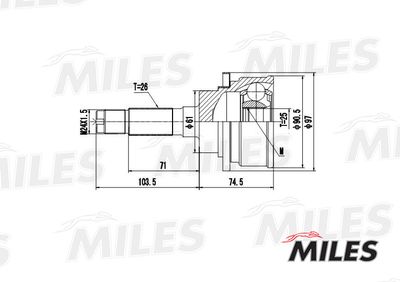 ШРУС наружный Miles GA20121