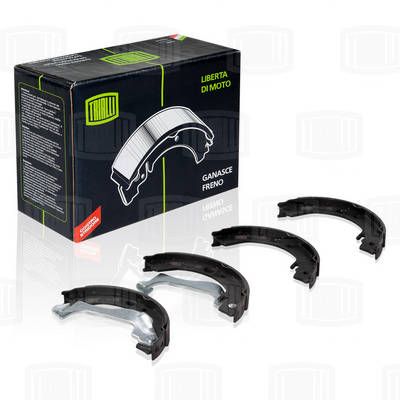 Колодки стояночного тормоза TRIALLI GF1902