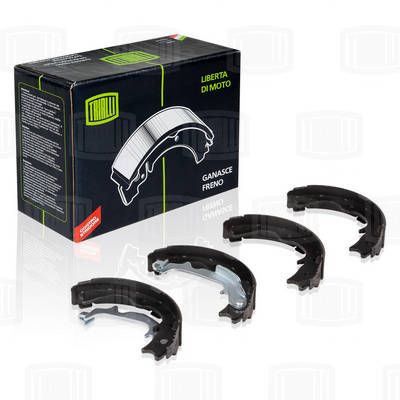 Колодки стояночного тормоза TRIALLI GF0862