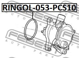 Кольцо уплотнительное вакуумного насоса FEBEST RINGOL053PCS10