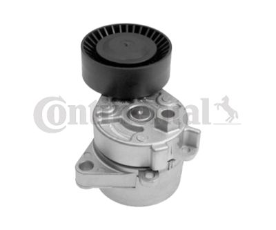 Ролик ремня приводного TATSUMI TFD1075