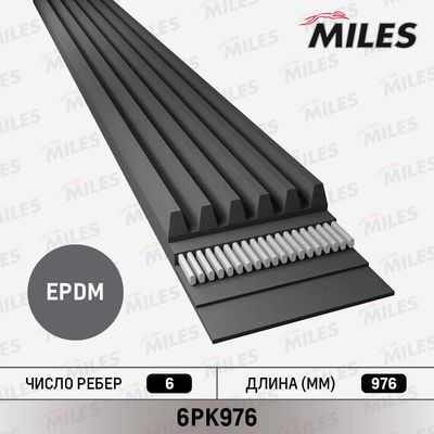 Ремень поликлиновой Miles 6PK976