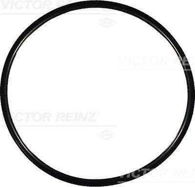 Кольцо уплотнительное VICTOR REINZ 407696400