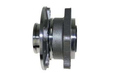 Ступица в сборе задняя GANZ GIM03014