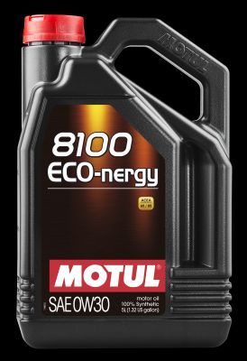 Масло моторное Motul 102794