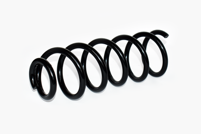 Пружина подвески задняя RENAULT 550202196R