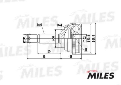 ШРУС наружный Miles GA20175